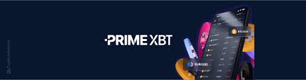 Unlocking the Potential of Trading with PrimeXBT 12