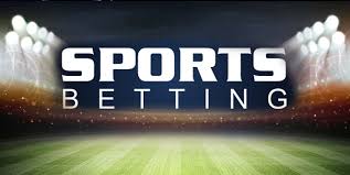 Exploring the Features and Benefits of viva bet