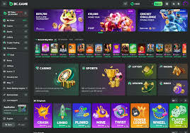 Explore the Exciting World of Betting BC.Game