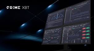 Exploring the PrimeXBT Trading Platform in Brazil 28